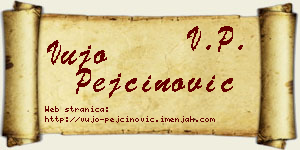 Vujo Pejčinović vizit kartica